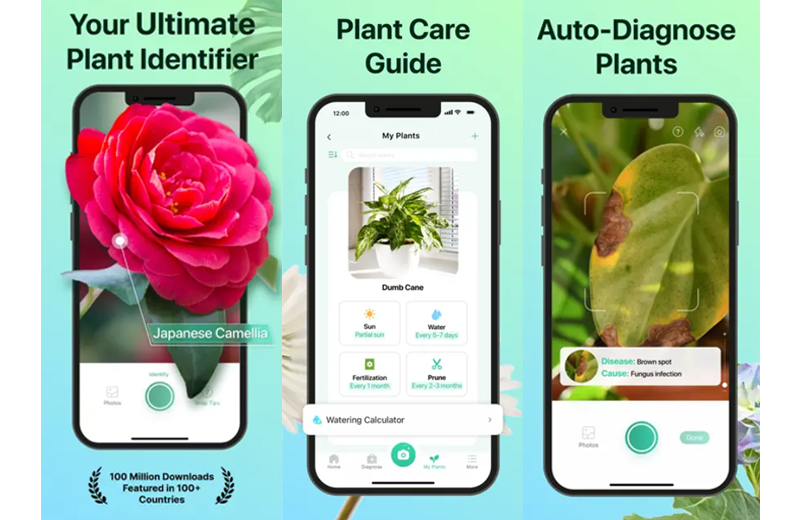 In post picturethis plant identifier